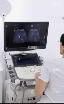 Medical professional performing an abdominal ultrasound on a patient using a handheld probe and monitor