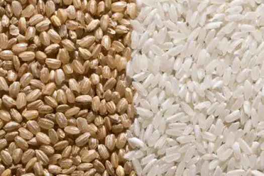 Brown rice grains showing bran and germ next to polished white rice grains