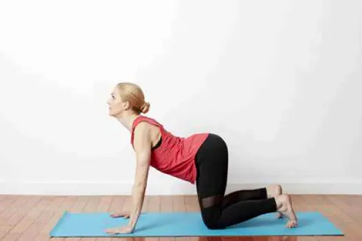 Person on hands and knees in cow pose with belly lowered toward floor and chest lifted upward