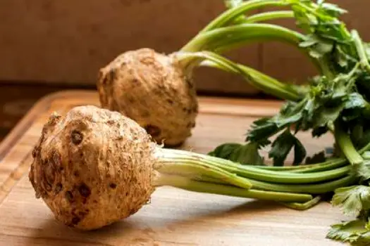 Fresh celery root vegetable as a natural source of nitrates used in some uncured salami