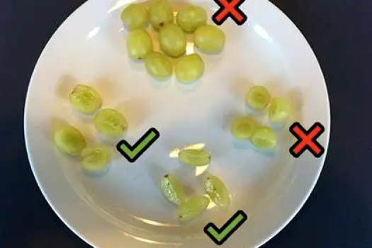 A small plate showing grapes cut into smaller pieces for a young child.