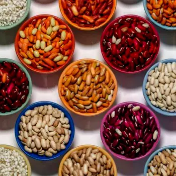 Several small bowls holding different kinds of beans arranged side by side on a table