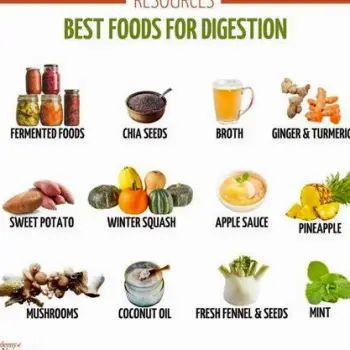 Fresh foods and a bowl representing digestive health