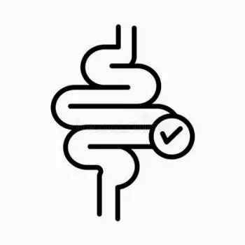 Illustration of digestive health