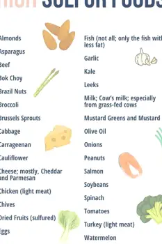Assortment of high-sulfur foods including eggs, red meat, and cruciferous vegetables on a kitchen counter