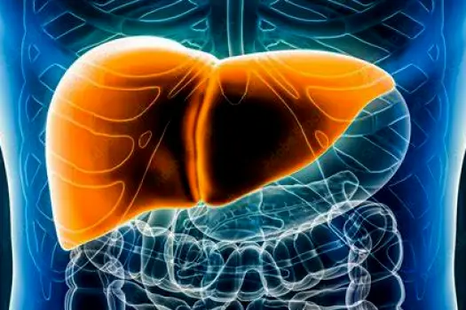 A close-up view of a human liver against a neutral background