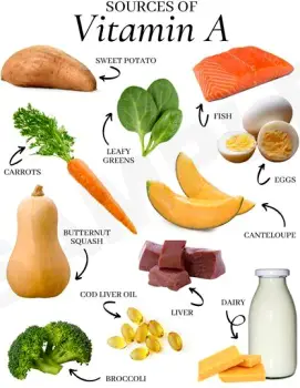 Leafy green vegetables and orange and yellow vegetables arranged together as dietary sources of provitamin A carotenoids