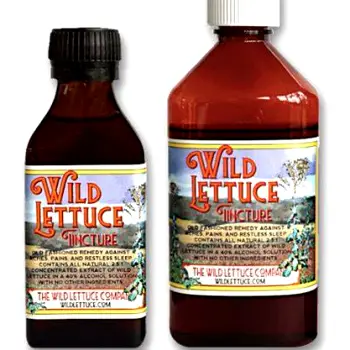 Assortment of wild lettuce products including dried leaves tea bags tincture bottles and capsules