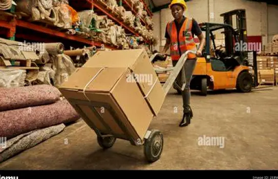 Worker guiding a large box on a dolly through a warehouse